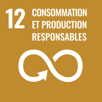 ODD 12: Consommation et production responsables